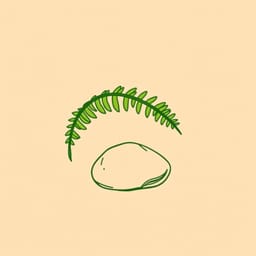 Fern & Stone